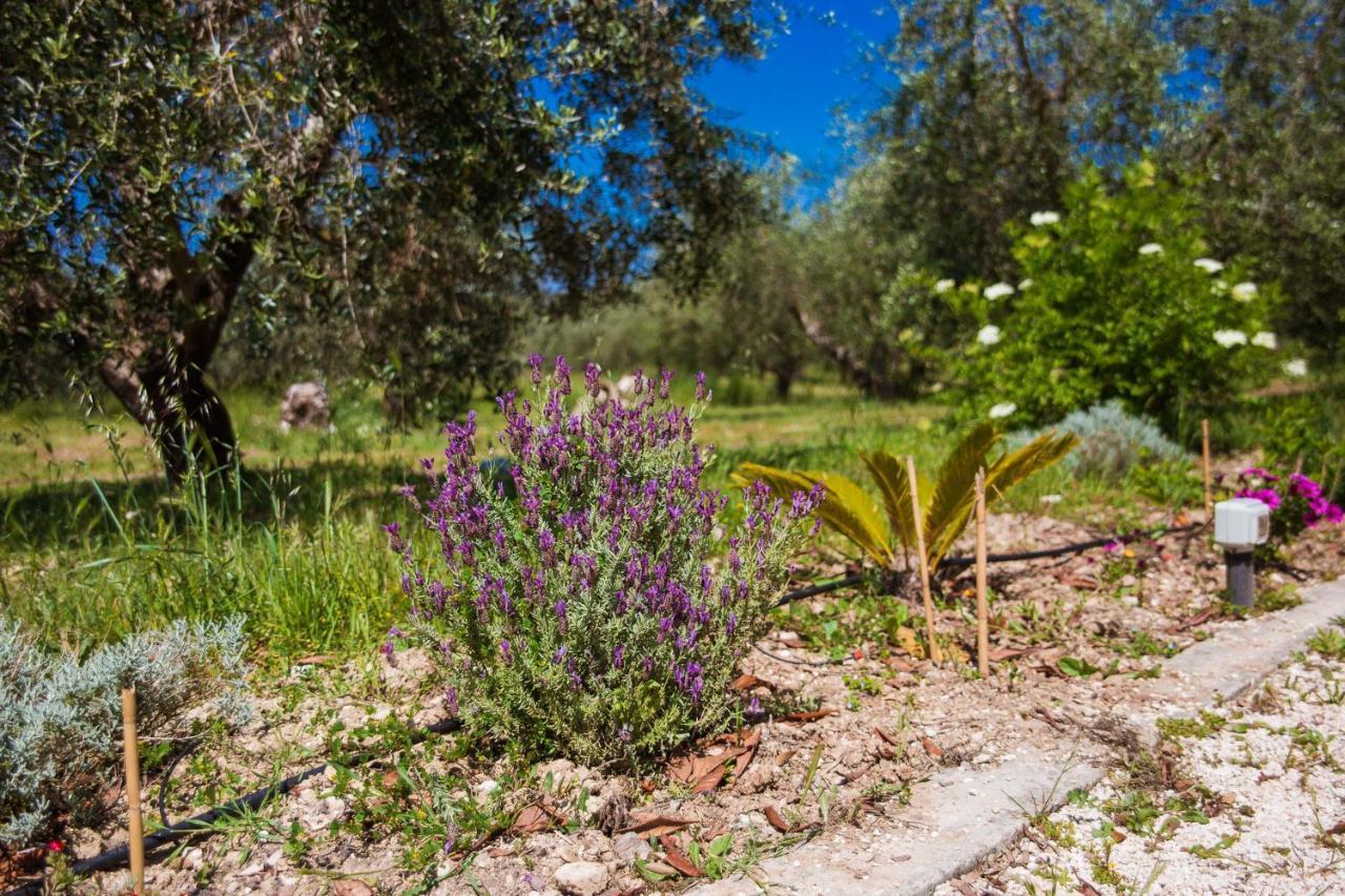 Agriturismo Biologico Piccapane Bed and Breakfast Cutrofiano Esterno foto