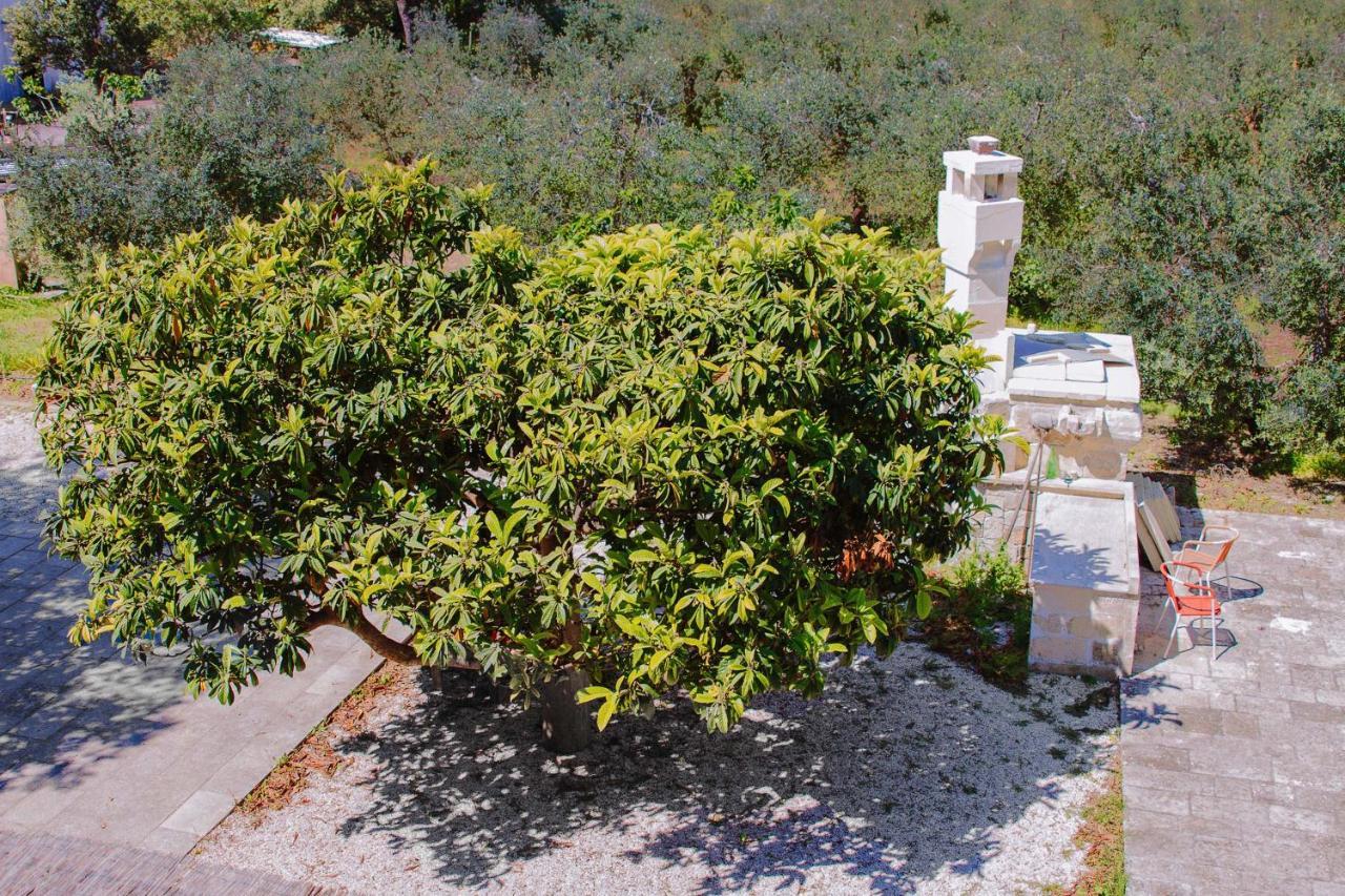 Agriturismo Biologico Piccapane Bed and Breakfast Cutrofiano Esterno foto